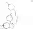 Fig. 50 - COMPOSITIONS AND METHODS FOR TREATING ESTROGEN-RELATED MEDICAL DISORDERS