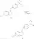 Fig. 62 - ROR modulators and their uses