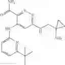 Fig. 24 - Inhibitors of SYK