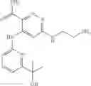 Fig. 28 - Inhibitors of SYK