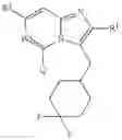 Fig. 22 - Ring-fused heterocyclic compound