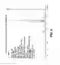 Fig. 03 - Solid salt form of α-6-mPEG-O-hydroxycodone as opioid agonists and uses thereof
