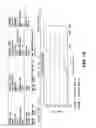 Fig. 14 - Solid salt form of α-6-mPEG-O-hydroxycodone as opioid agonists and uses thereof