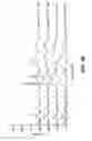 Fig. 17 - Solid salt form of α-6-mPEG-O-hydroxycodone as opioid agonists and uses thereof