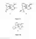 Fig. 02 - NOVEL RUTHENIUM COMPLEXES AND THEIR USES IN PROCESSES FOR FORMATION AND/OR HYDROGENATION OF ESTERS, AMIDES AND DERIVATIVES THEREOF
