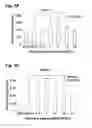 Fig. 05 - Peptides that stimulate subcutaneous adipogenesis