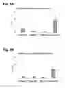 Fig. 07 - Peptides that stimulate subcutaneous adipogenesis