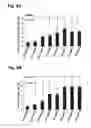 Fig. 10 - Peptides that stimulate subcutaneous adipogenesis