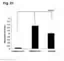 Fig. 24 - Peptides that stimulate subcutaneous adipogenesis