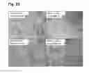 Fig. 26 - Peptides that stimulate subcutaneous adipogenesis