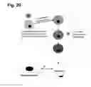 Fig. 32 - Peptides that stimulate subcutaneous adipogenesis