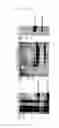 Fig. 28 - Method for crystallization of TRX-TXNIP complex mutein and 3D structure thereof
