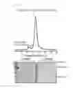 Fig. 40 - Method for crystallization of TRX-TXNIP complex mutein and 3D structure thereof