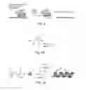 Fig. 03 - BETA-CATENIN TARGETING PEPTIDES AND USES THEREOF
