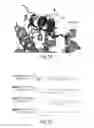 Fig. 06 - BETA-CATENIN TARGETING PEPTIDES AND USES THEREOF