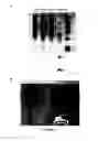 Fig. 07 - DOSAGE REGIME OF FUSION COMPOUNDS