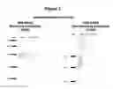 Fig. 02 - TGFβ-derived polypeptides and uses thereof