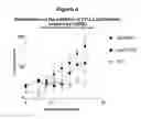 Fig. 05 - TGFβ-derived polypeptides and uses thereof