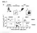 Fig. 02 - Compositions and methods for inhibiting pathogen infection