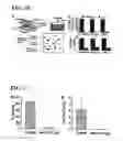 Fig. 09 - Compositions and methods for inhibiting pathogen infection