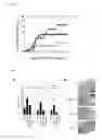 Fig. 04 - Bi-specific affinity reagents for cell-lineage-specific TNF-alpha neutralization