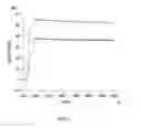 Fig. 04 - Method of modifying isoelectric point of antibody via amino acid substitution in CDR