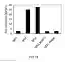 Fig. 23 - Method of modifying isoelectric point of antibody via amino acid substitution in CDR