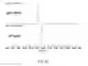 Fig. 27 - Method of modifying isoelectric point of antibody via amino acid substitution in CDR