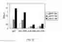 Fig. 34 - Method of modifying isoelectric point of antibody via amino acid substitution in CDR