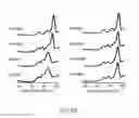 Fig. 45 - Method of modifying isoelectric point of antibody via amino acid substitution in CDR