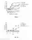 Fig. 09 - Bispecific antibody