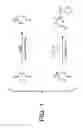 Fig. 02 - Lactide-functionalized polymer