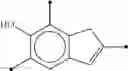 Fig. 170 - Non-bridged metallocene complexes for the polymerization of olefins