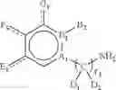 Fig. 08 - Polymer ligands for nanoparticles