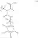 Fig. 44 - Polymer ligands for nanoparticles