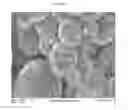 Fig. 02 - Composite polymer modifiers