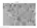 Fig. 08 - Composite polymer modifiers