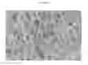 Fig. 09 - Composite polymer modifiers