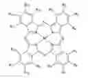 Fig. 01 - Self-cleaning protective coatings