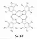 Fig. 02 - Self-cleaning protective coatings
