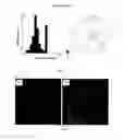 Fig. 09 - METHODS OF CULTURING CELLS OR TISSUES AND DEVICES FOR CELL OR TISSUE CULTURE