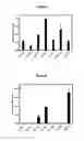 Fig. 06 - CAMPYLOBACTER BACTERIA AND DETECTION