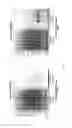 Fig. 09 - Method for the determination of botulinum neurotoxin biological activity