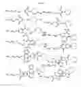 Fig. 02 - Recognition tags for TGase-mediated conjugation