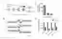 Fig. 02 - Chimeric polypeptides having targeted binding specificity