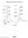Fig. 02 - Reducing levels of nicotinic alkaloids in plants