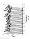 Fig. 06 - Engineering the pathway for succinate production