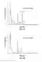 Fig. 12 - Biosynthesis of paclitaxel intermediate