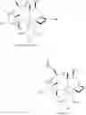Fig. 42 - Biosynthesis of paclitaxel intermediate