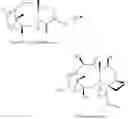 Fig. 44 - Biosynthesis of paclitaxel intermediate